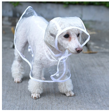 Товары для животных из Китая